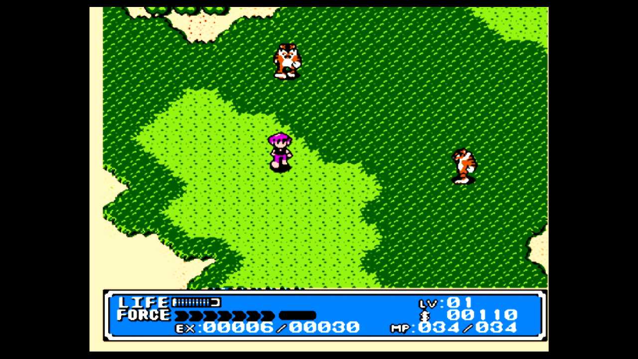 Crystalis NES Screenshot 2